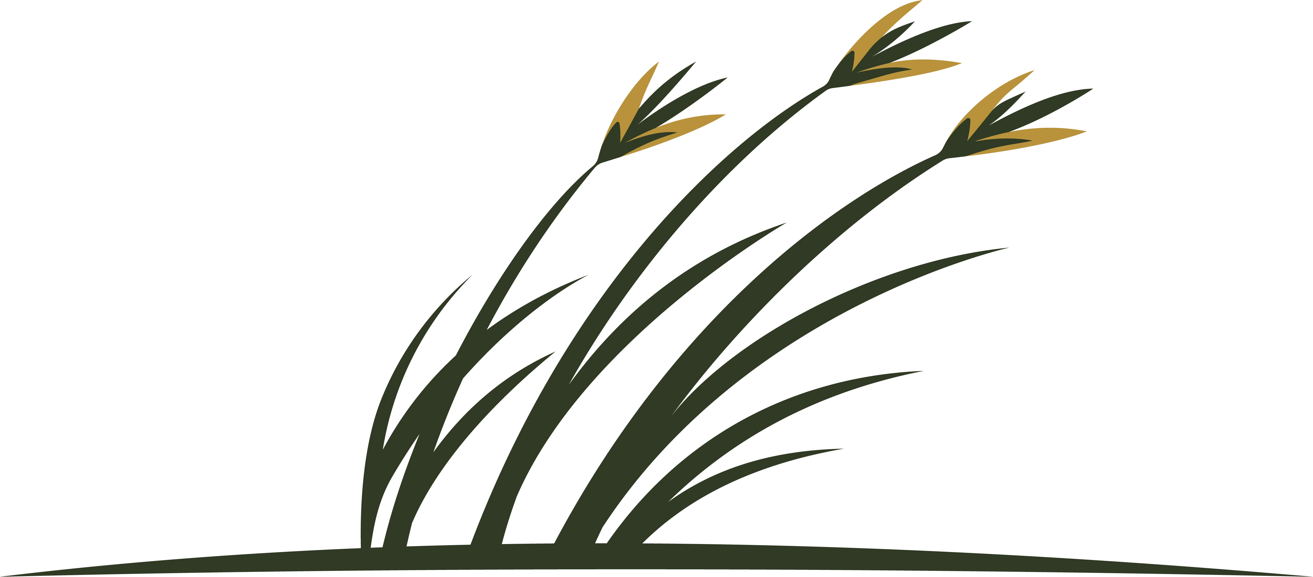 Prairie Builds logo